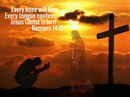 every knee